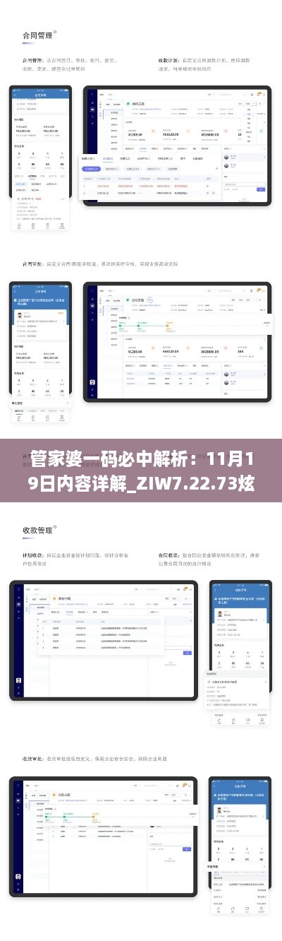 管家婆一码必中解析：11月19日内容详解_ZIW7.22.73炫酷版