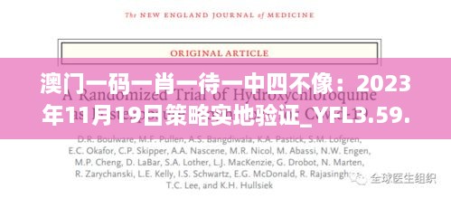 澳门一码一肖一待一中四不像：2023年11月19日策略实地验证_YFL3.59.36高端体验版