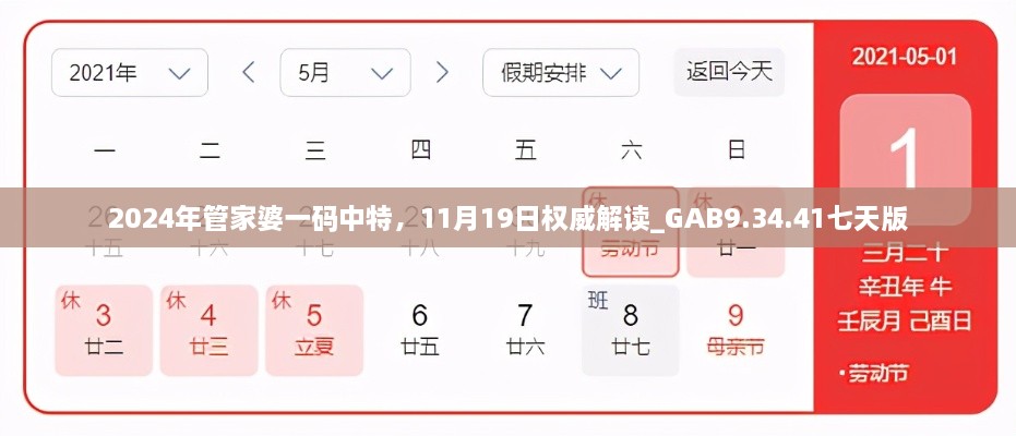 2024年管家婆一码中特，11月19日权威解读_GAB9.34.41七天版