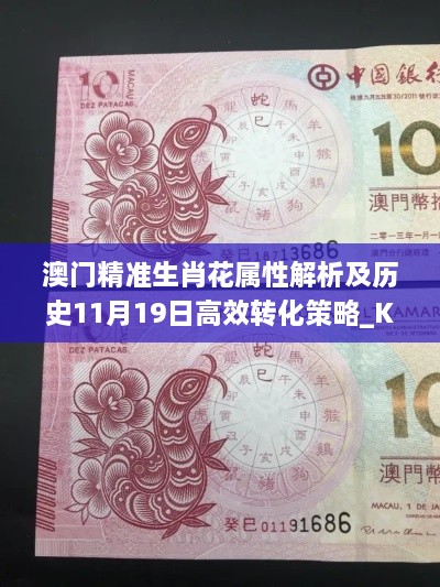 澳门精准生肖花属性解析及历史11月19日高效转化策略_KNV2.30.41风尚版