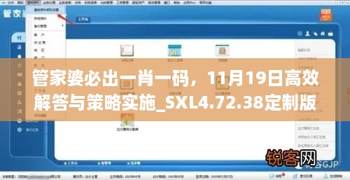 管家婆必出一肖一码，11月19日高效解答与策略实施_SXL4.72.38定制版