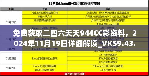 免费获取二四六天天944CC彩资料，2024年11月19日详细解读_VKS9.43.51策展版