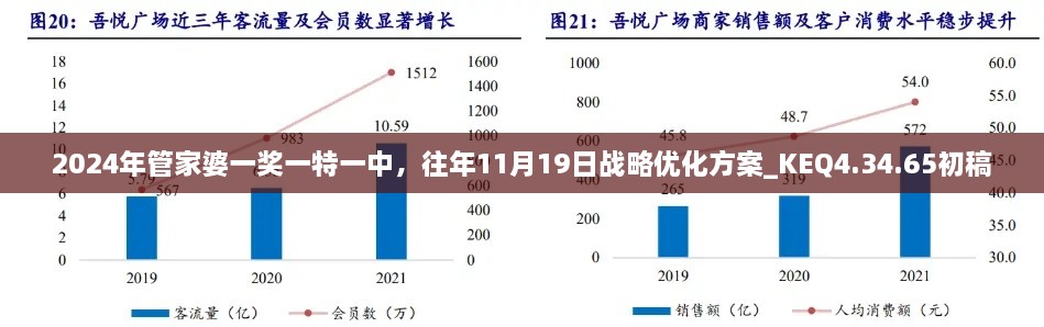 2024年管家婆一奖一特一中，往年11月19日战略优化方案_KEQ4.34.65初稿