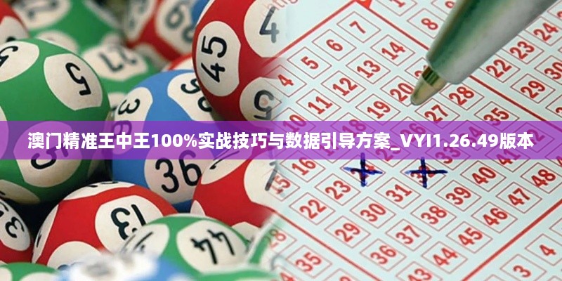 澳门精准王中王100%实战技巧与数据引导方案_VYI1.26.49版本