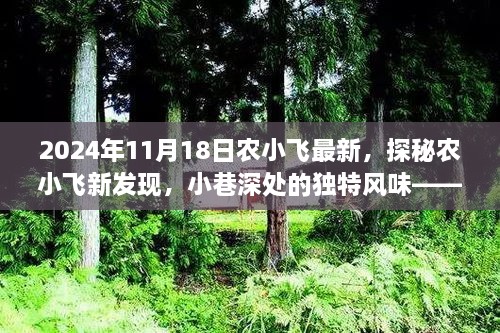 农小飞最新发现揭秘，小巷深处的独特风味——特别报道（日期标注）