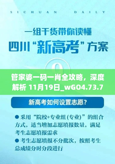 管家婆一码一肖全攻略，深度解析 11月19日_wGO4.73.79味道版