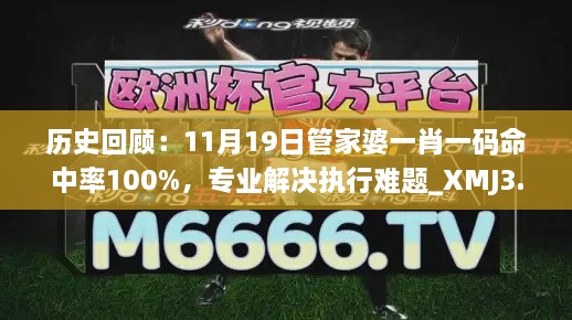 历史回顾：11月19日管家婆一肖一码命中率100%，专业解决执行难题_XMJ3.47.66敏捷版