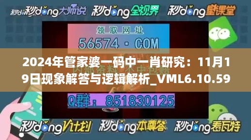 2024年管家婆一码中一肖研究：11月19日现象解答与逻辑解析_VML6.10.59版