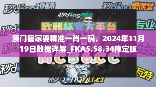 澳门管家婆精准一肖一码，2024年11月19日数据详解_FKA5.58.34稳定版