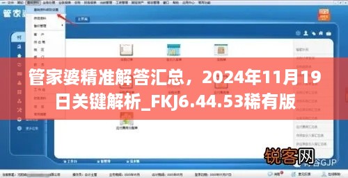 管家婆精准解答汇总，2024年11月19日关键解析_FKJ6.44.53稀有版