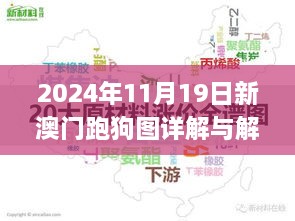 2024年11月19日新澳门跑狗图详解与解答_WOZ9.15.81荣耀版