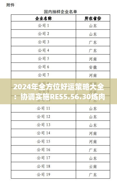 2024年全方位好运策略大全：协调实施RES5.56.30炼肉境