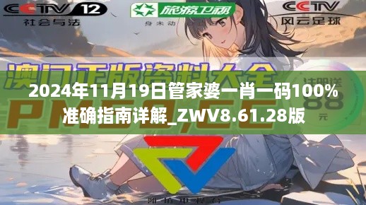 2024年11月19日管家婆一肖一码100%准确指南详解_ZWV8.61.28版