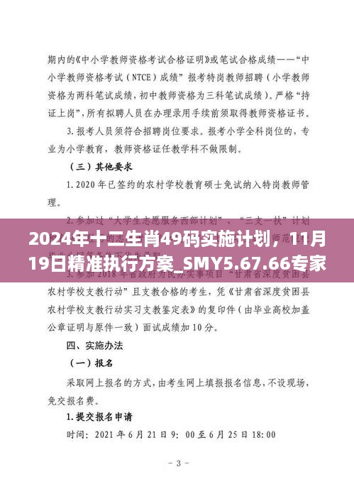 2024年十二生肖49码实施计划，11月19日精准执行方案_SMY5.67.66专家版