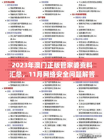 2023年澳门正版管家婆资料汇总，11月网络安全问题解答_TOM1.64.38旗舰版