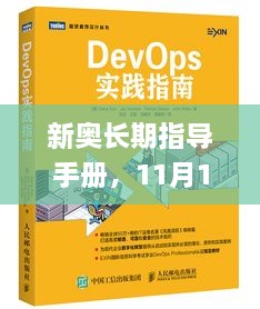 新奥长期指导手册，11月19日高效实施方案设计_OKM6.62.29旗舰版