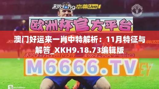 澳门好运来一肖中特解析：11月特征与解答_XKH9.18.73编辑版