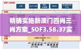 精确实施新澳门四肖三肖方案_SOF3.58.37实验版