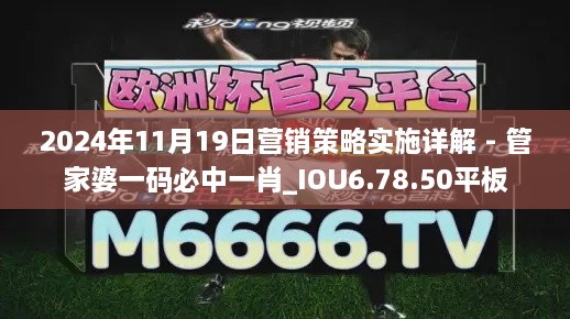 2024年11月19日营销策略实施详解 - 管家婆一码必中一肖_IOU6.78.50平板