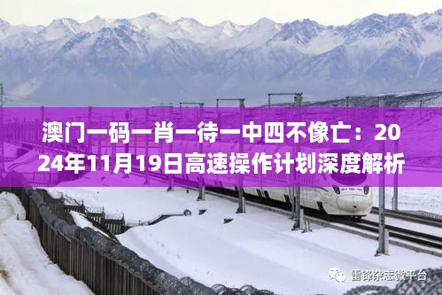 澳门一码一肖一待一中四不像亡：2024年11月19日高速操作计划深度解析_BTC5.19.63经典版