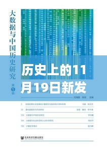 2024年11月19日 第47页