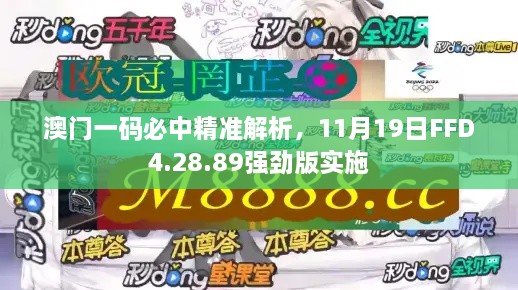 澳门一码必中精准解析，11月19日FFD4.28.89强劲版实施