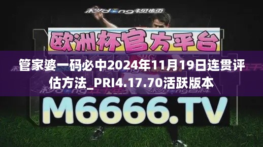 管家婆一码必中2024年11月19日连贯评估方法_PRI4.17.70活跃版本