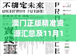 澳门正版精准资源汇总及11月19日协同计划实施讨论_XWL4.54.59定制版