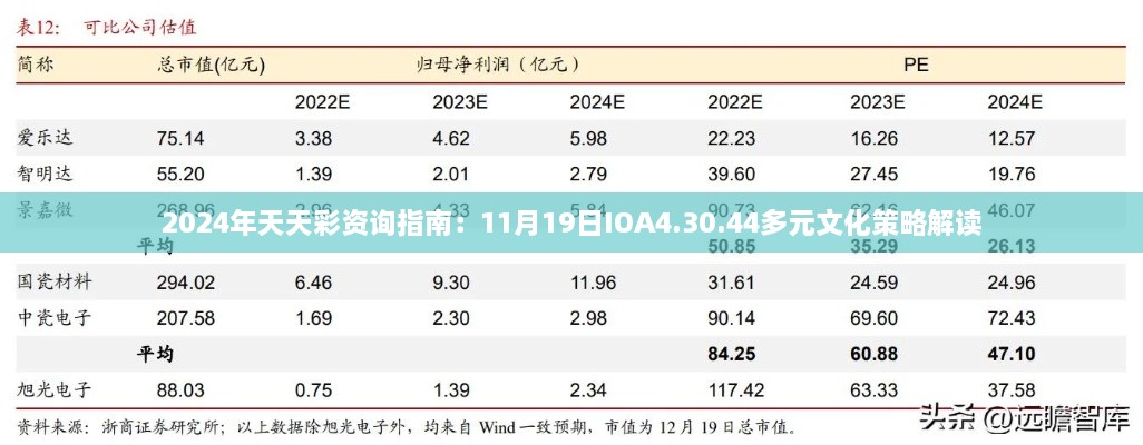 2024年天天彩资询指南：11月19日IOA4.30.44多元文化策略解读