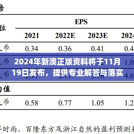 2024年11月19日 第38页