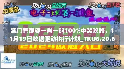 澳门管家婆一肖一码100%中奖攻略，11月19日数据驱动执行计划_TKU6.20.60铂金版