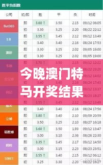 2024年11月19日 第37页