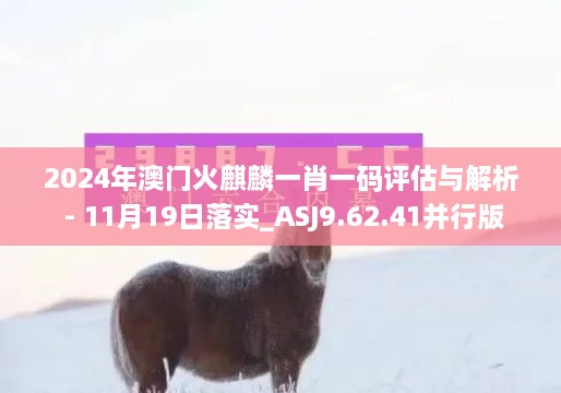 2024年澳门火麒麟一肖一码评估与解析 - 11月19日落实_ASJ9.62.41并行版