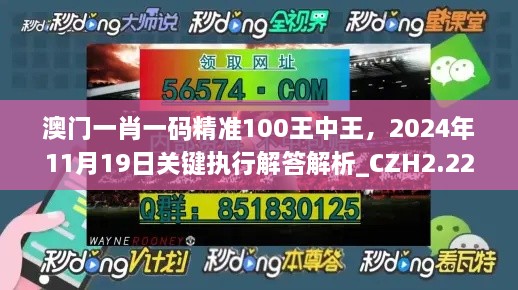 澳门一肖一码精准100王中王，2024年11月19日关键执行解答解析_CZH2.22.67尊享版