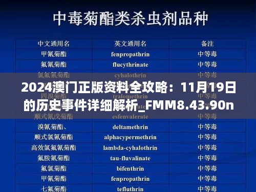 2024澳门正版资料全攻略：11月19日的历史事件详细解析_FMM8.43.90nShop