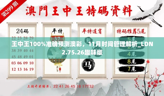 王中王100%准确预测澳彩，11月时间管理解析_LDN2.75.26趣味版