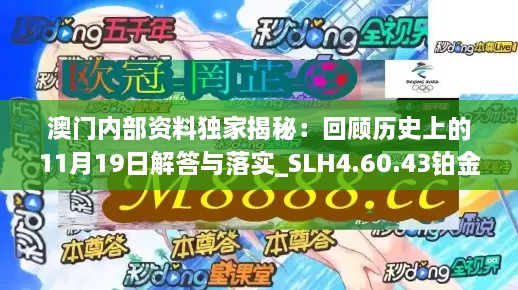 澳门内部资料独家揭秘：回顾历史上的11月19日解答与落实_SLH4.60.43铂金版