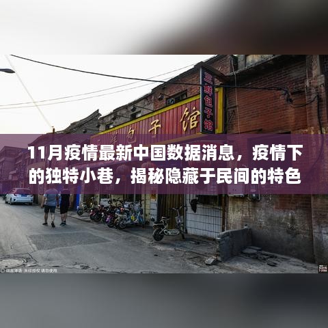 疫情下的独特小巷，揭秘中国民间特色小店新发现与最新数据消息