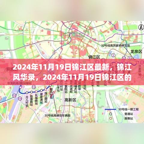 2024年11月19日锦江区最新，锦江风华录，2024年11月19日锦江区的时代印记