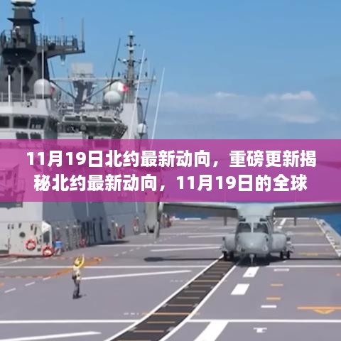 11月19日北约最新动向，重磅更新揭秘北约最新动向，11月19日的全球战略调整与未来展望（深度解析）