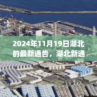 2024年11月19日湖北的最新通告，湖北新通告，2024年11月19日，与大自然共舞的日子！