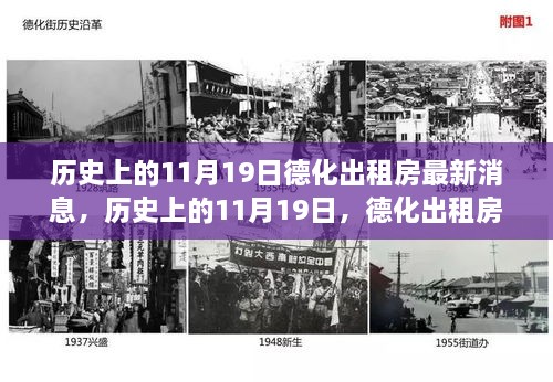 历史上的11月19日，德化出租房市场动态更新与最新消息回顾