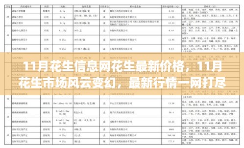 11月花生市场风云变幻，最新行情与价格解析