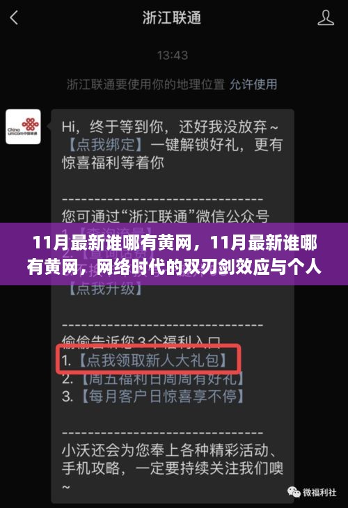 网络时代双刃剑效应下的黄网与个人立场分析，揭秘最新黄网现象及影响