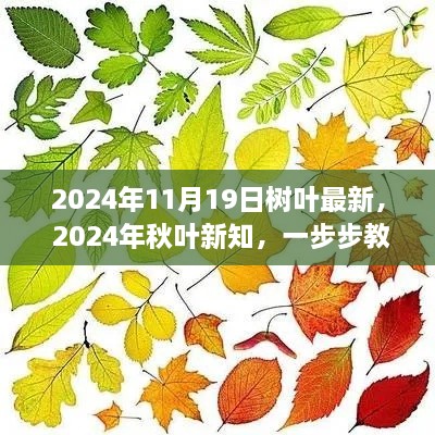 揭秘秋叶新知，如何观察与研究树叶特性的方法与技巧（2024年最新指南）