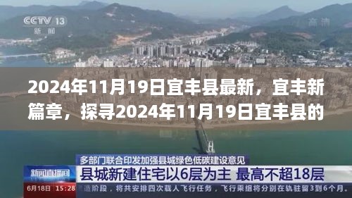 探寻宜丰县新脉动，宜丰新篇章下的最新动态（2024年11月19日）