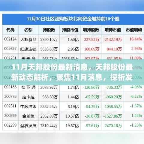 11月天邦股份最新动态深度解析，发展走向、个人立场与最新消息聚焦