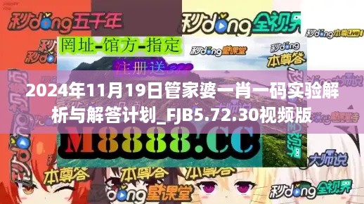 2024年11月19日管家婆一肖一码实验解析与解答计划_FJB5.72.30视频版