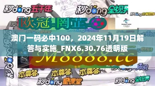 澳门一码必中100，2024年11月19日解答与实施_FNX6.30.76透明版