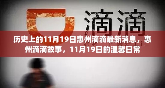 惠州滴滴故事，11月19日的温馨日常与最新消息回顾